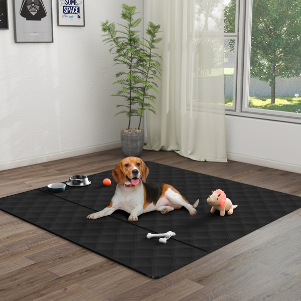 Pet Playpen Mat Wayfair Canada